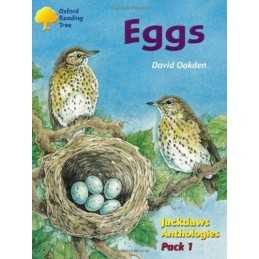 Oxford Reading Tree: Levels 8-11: Jac..., Poulton, Mike