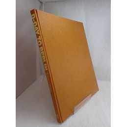 D-Day to Berlin: Armour Camouflage and Markings of ... by Wise, Terence Hardback