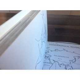 Observers Book of Zoo Animals (Observe..., Hatley, Jan