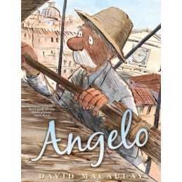 Angelo by Macaulay, David Paperback Book