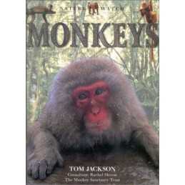 Monkeys (Nature Watch) by Jackson, Tom Hardback Book