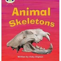 Bug Club Phonics Non-Fiction Year 1 Phase 5 Set 17... by Shipton, Paul Paperback
